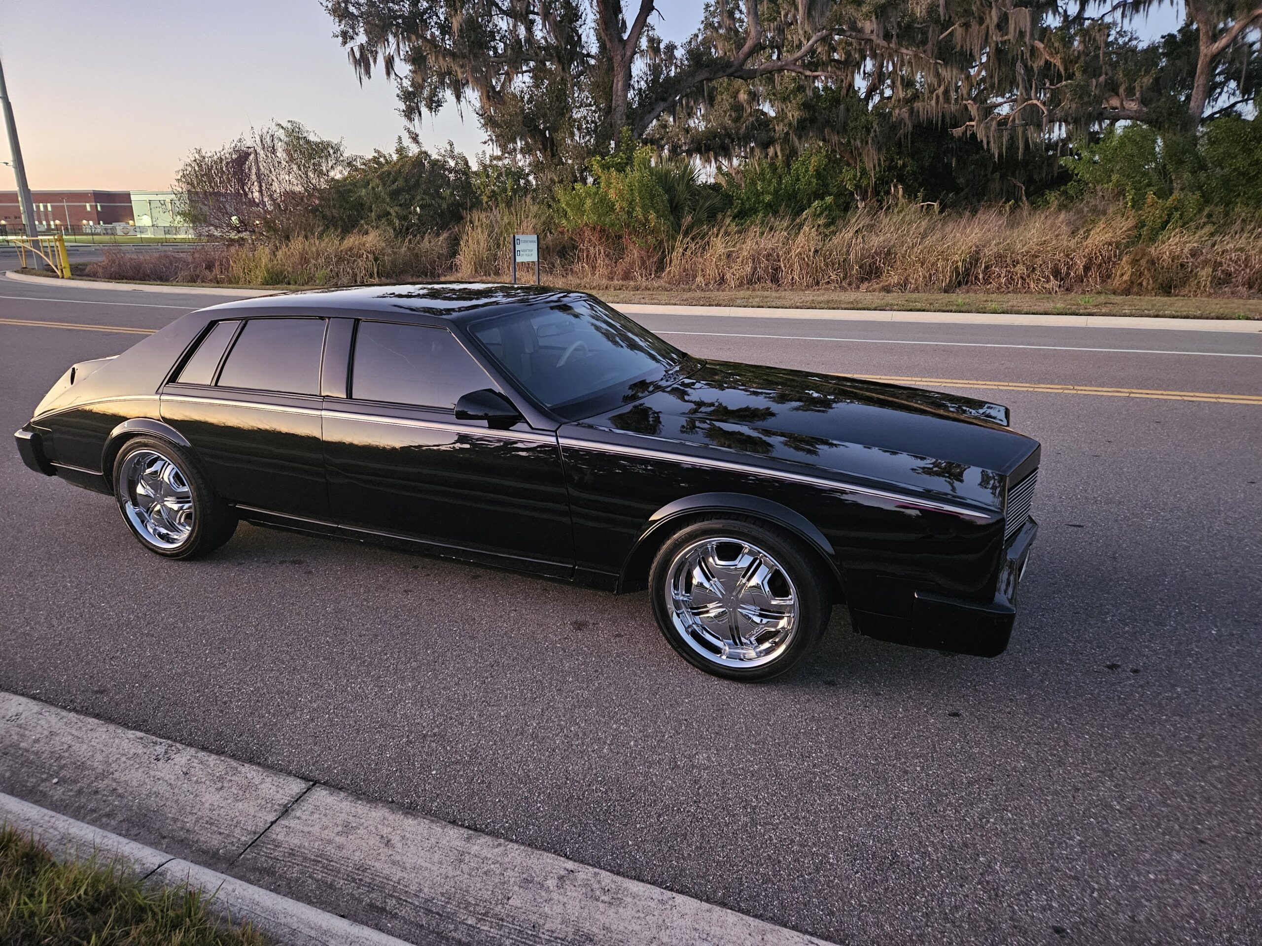 1982 Cadillac Customized Seville thumbnail 2