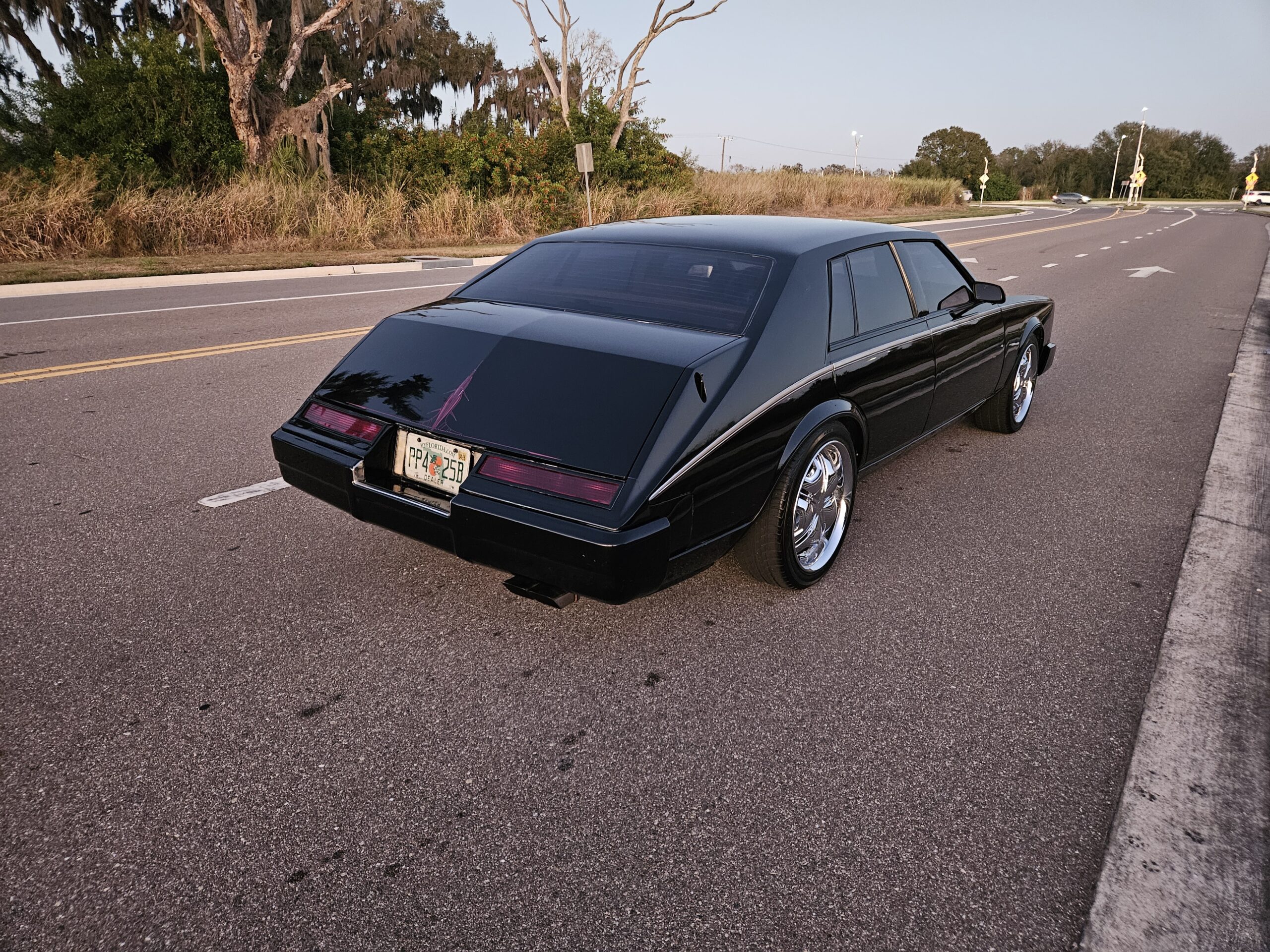 1982 Cadillac Customized Seville thumbnail 3